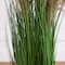 4ft. Green & Brown Artificial Pampas Grass in Black Pot